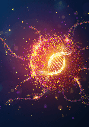 Bridging primary care and genetics: Hereditary cancer testing explained